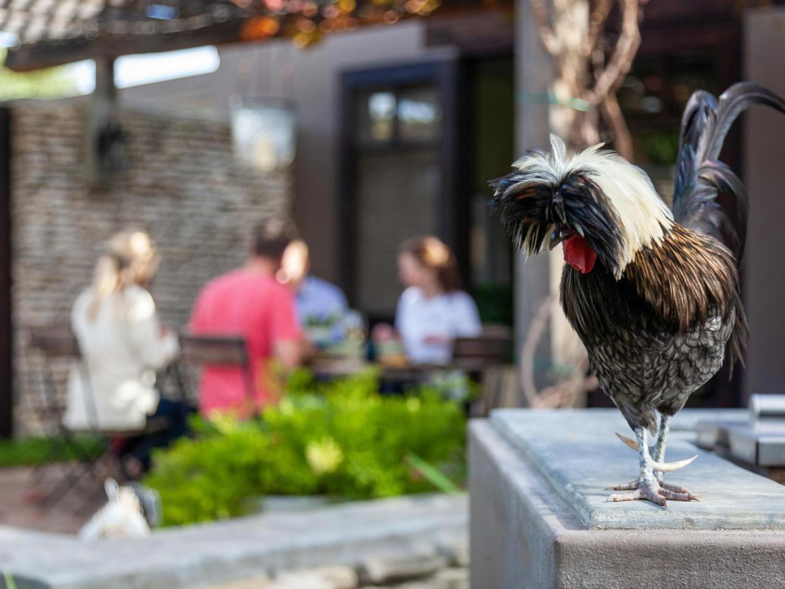 Rivergate Guest Farm แสตนฟอร์ด ภายนอก รูปภาพ